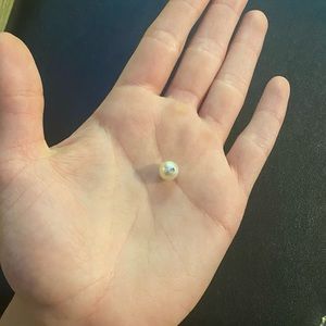 🤍🌊AUTHENTIC UNMODIFIED INTACT AKOYA PEARL🌊🤍